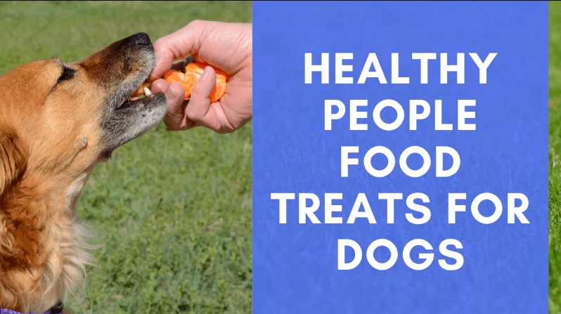 Fix Dog Urine Spots
