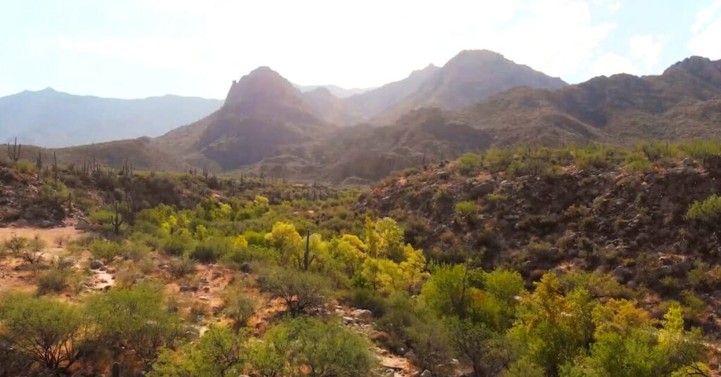 Top Reasons To Retire in Oro Valley