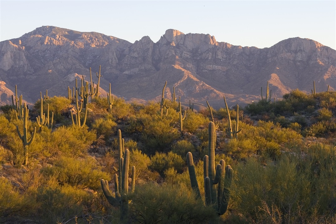 Ten Reasons Why Oro Valley is the Perfect Place to Retire