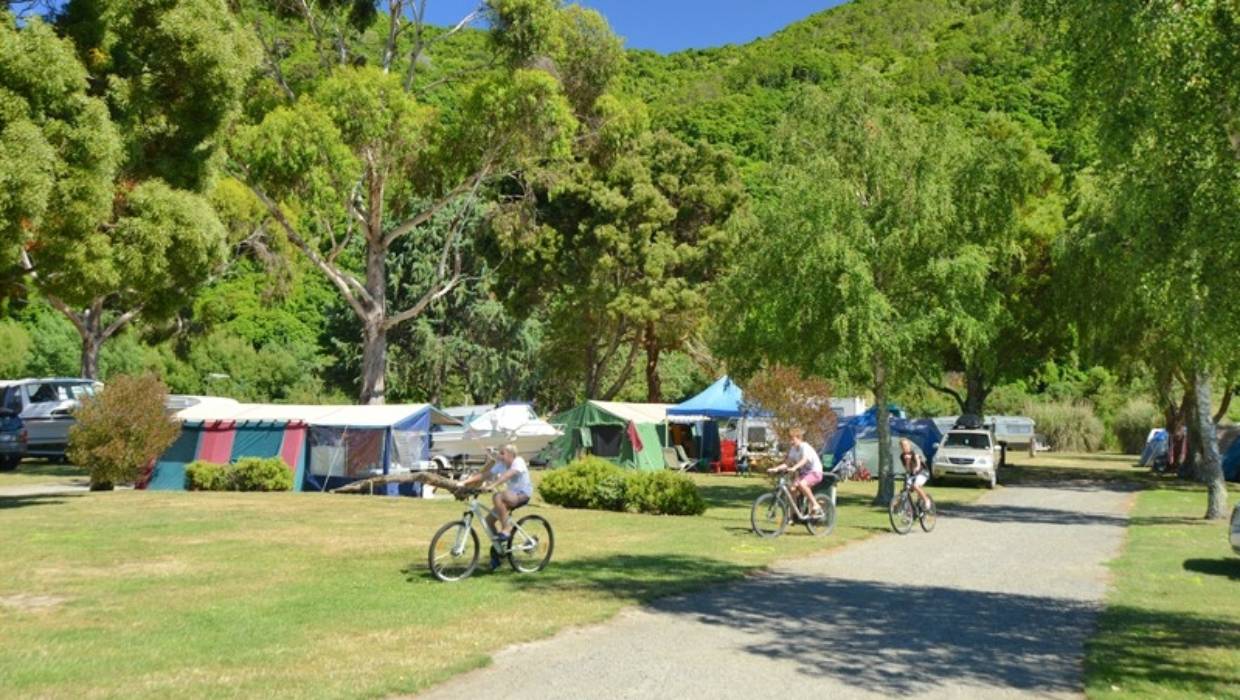 Picton Holiday Park: The Perfect Base for South Island Adventures