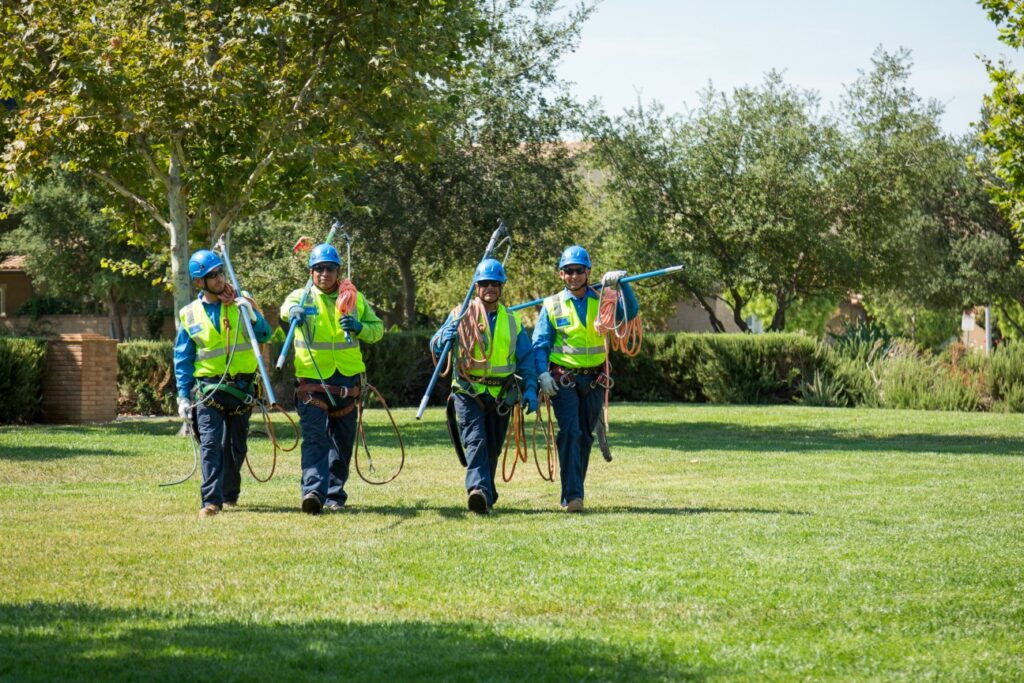 Top 5 Benefits of Hiring a Certified Arborist in Calgary