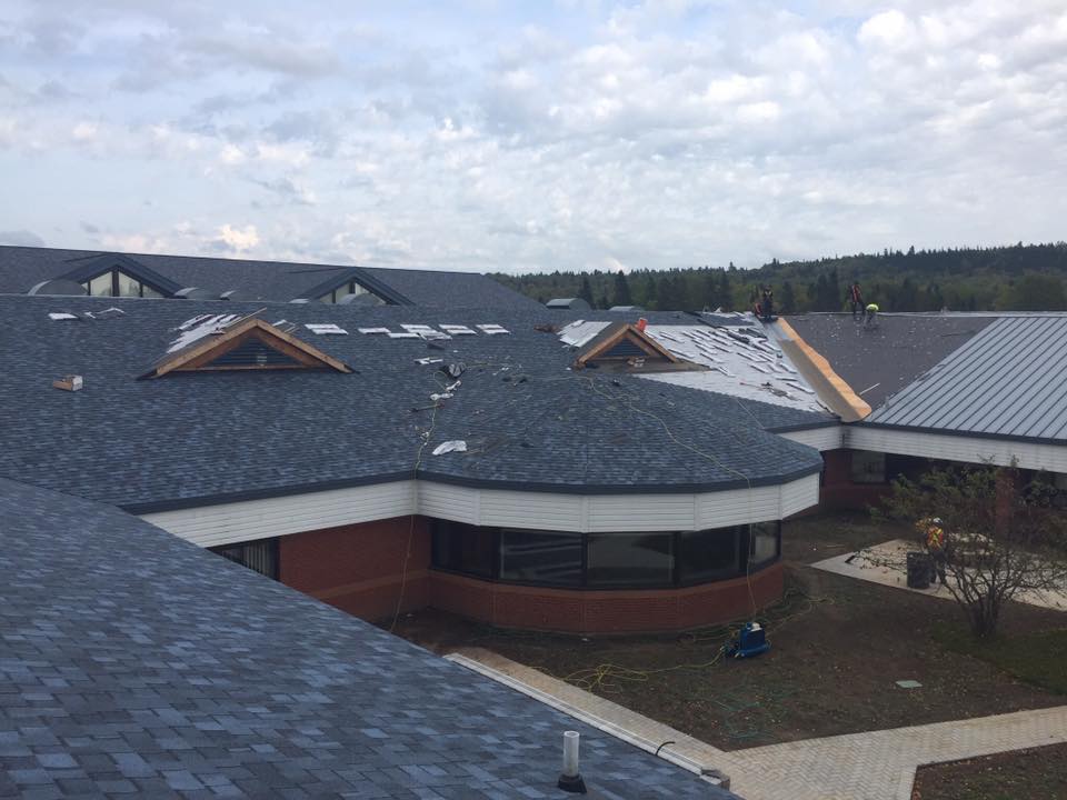 Roofing Service Provider